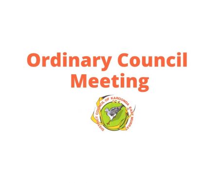 Council Meeting Logo